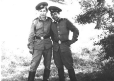 ������ ����